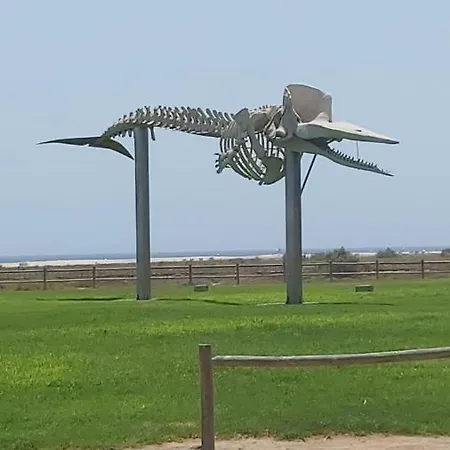 公寓 3br - 5 Min Walk To Jandia Beach *